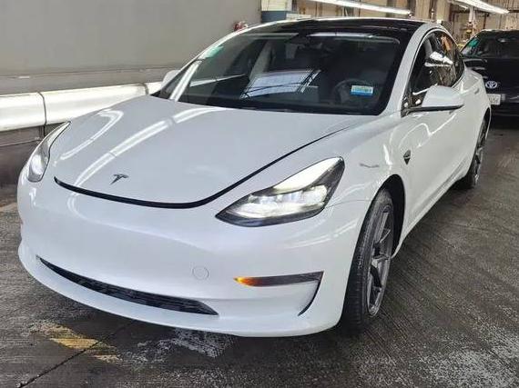 TESLA MODEL 3 2023 5YJ3E1EA1PF679231 image